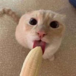 hiii